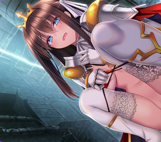 【PC/AI汉化/日式/ADV游戏/1.0G】 漆黑幸运人生~成为废弃旅馆店主,与有隐情的公主和修女共度的旅馆生活~AI汉化版+全CG存档+日式ADV游戏+1.0G